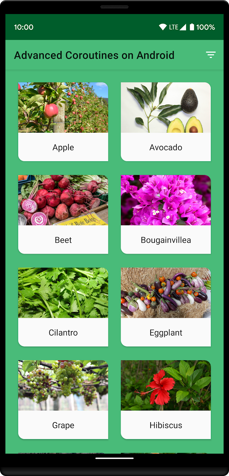 Plant list 3d457e66c13f2ef8.png