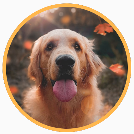 A square image of a dog, clipped into a circle, with a yellow border around the circular shape.