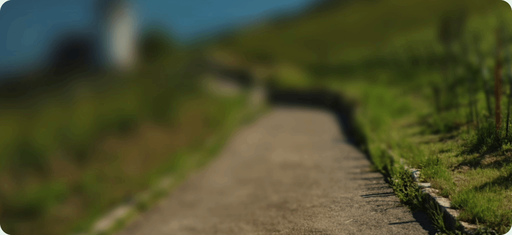 An XR differentiated app has a user experience explicitly designed for XR, and
it implements features that are only offered on
XR.