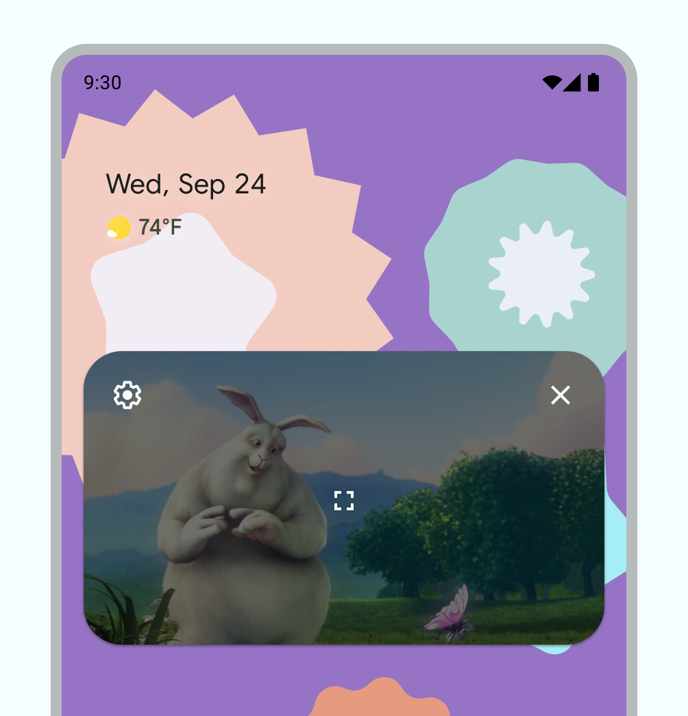 Default PiP controls